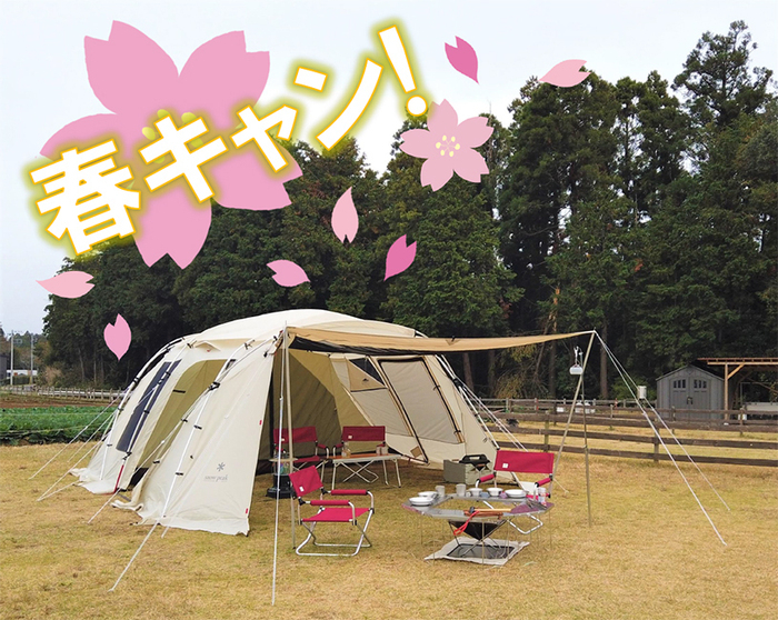 ザファームの春キャンプラン