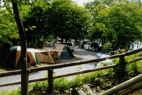 グリーンビュー丸山オートキャンプ場理森林サイトの様子