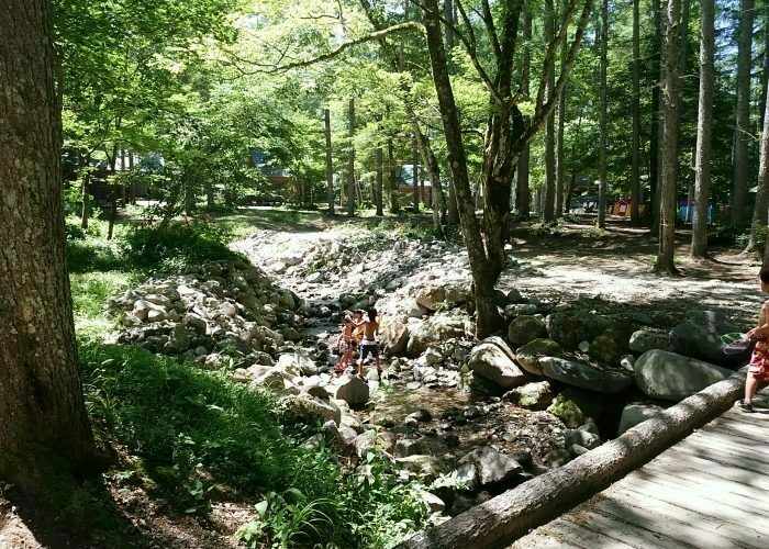 小川で遊ぶ水着の男の子