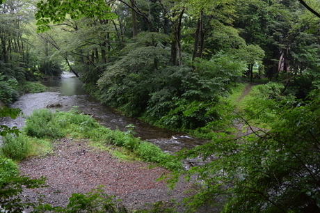 北浅川の渓流