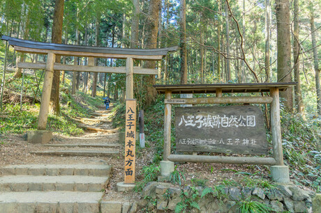 八王子城跡の自然公園