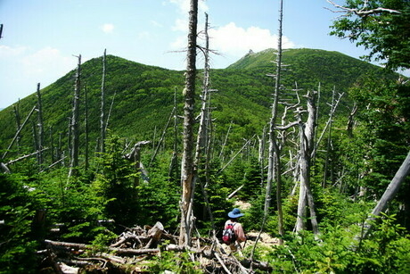 金峰山荘・廻り目平登山コース