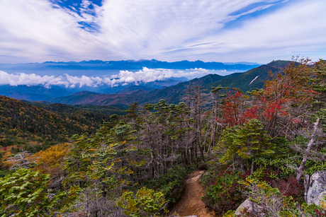 金峰山から見える紅葉の景色