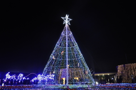 まんのう公園のイルミネーション
