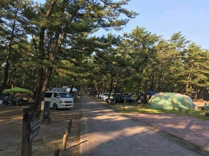 くにの松原キャンプ場