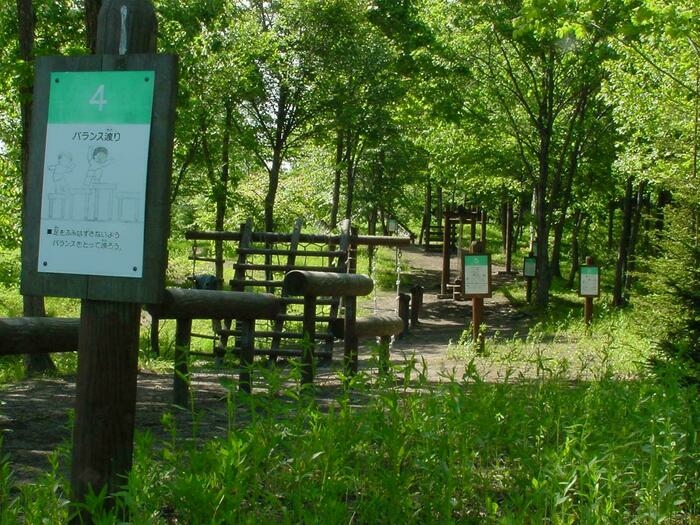 林間の木の遊具