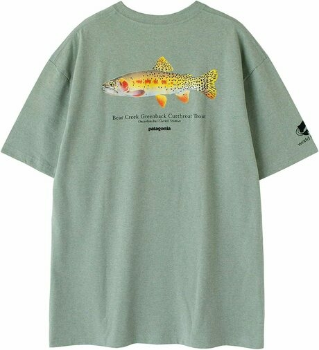 パタゴニアのTシャツ