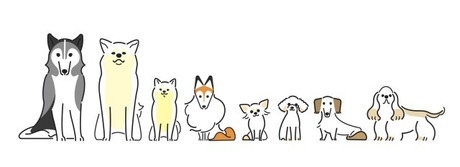 動物のデザインの画像