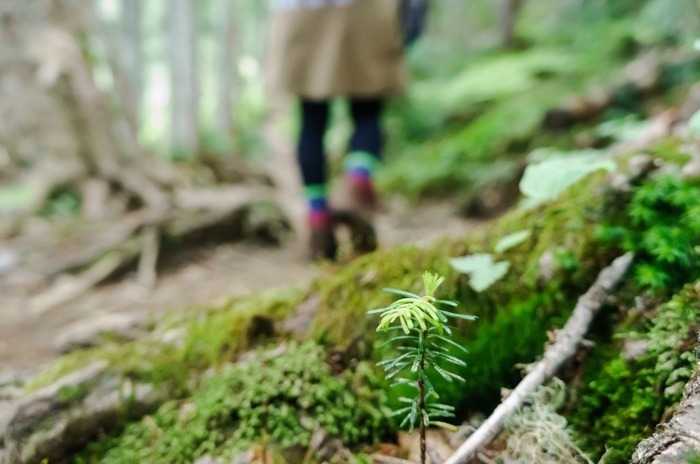 山道を歩く人