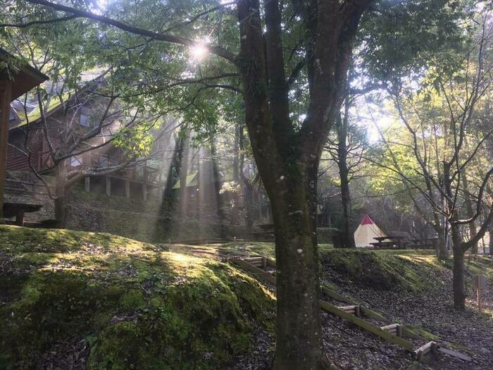 岩屋公園キャンプ場