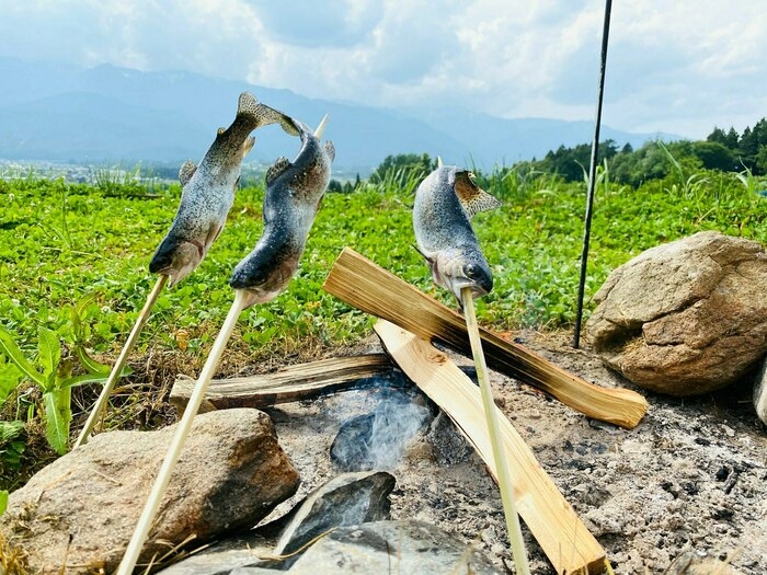 ニジマスの塩焼き