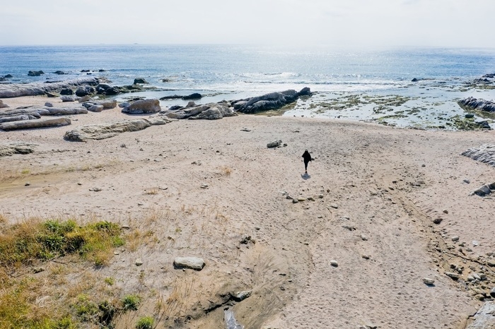白浜フラワーパーク Ocean’sの近くの海