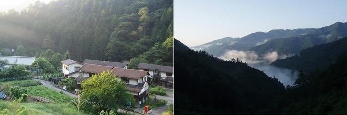 自然の景色