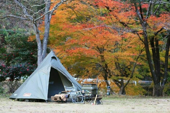 紅葉の中のカーキサイト