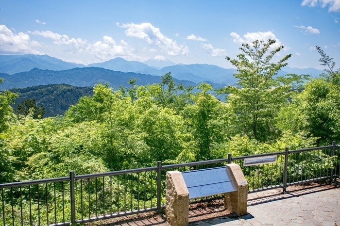 高尾山の山頂