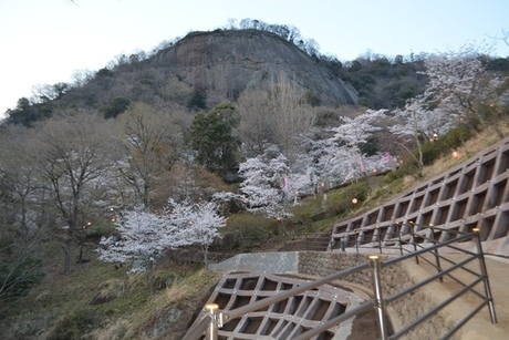 岩殿山の春のようす