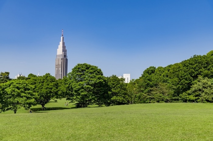 代々木公園