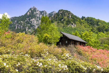 バスでもアクセスできる瑞牆山