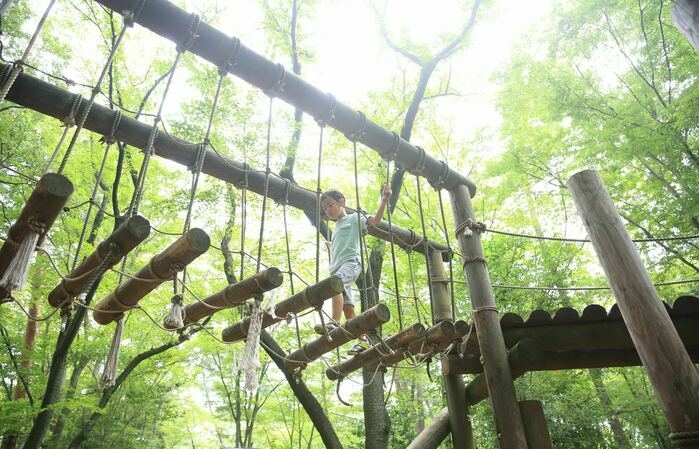 アスレチックで遊ぶ子ども
