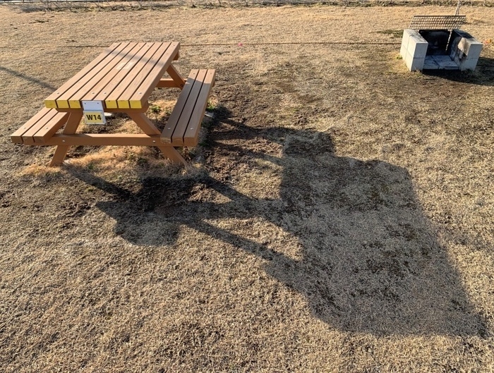 海岸公園冒険広場デイキャンプ場