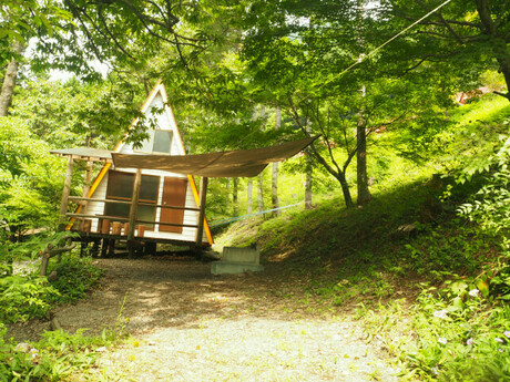 林間に建つ三角屋根のキャビンを正面から見ている