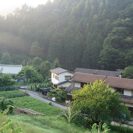 山のふもとに立つ陽の当たる数件の住宅