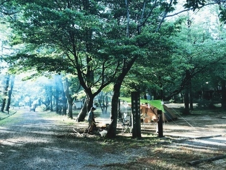 キャンプ場2