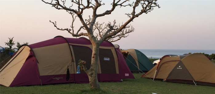 CAMP&MUSIC. KOYA