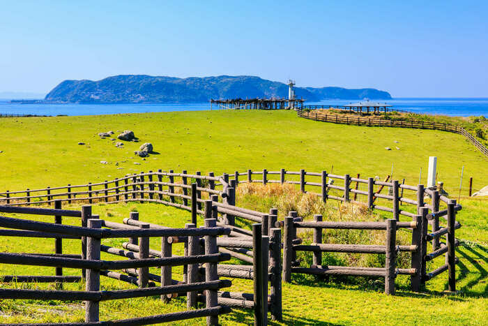 佐賀県の自然の画像