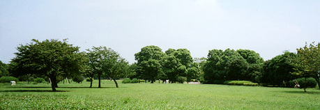 篠崎公園