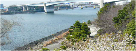 東海ふ頭公園の河川敷の画像