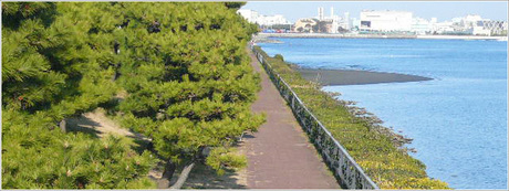 京浜島つばさ公園の画像