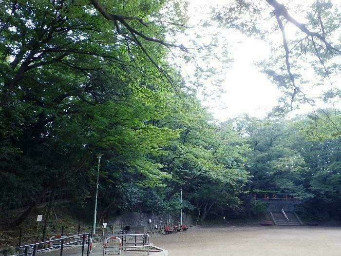 本門寺公園の様子の画像