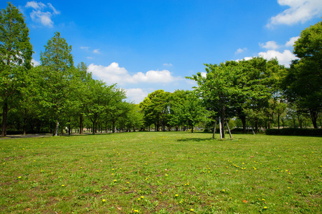 舎人公園