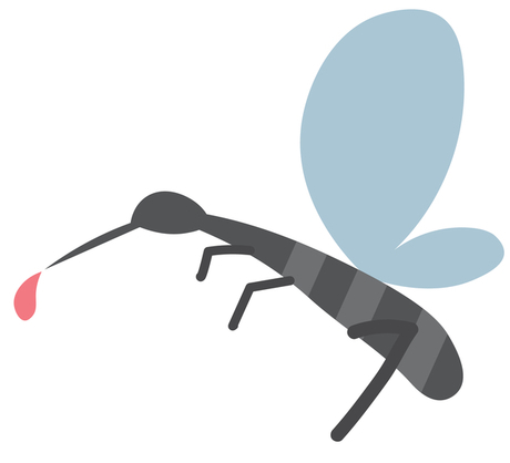 蚊のイラスト