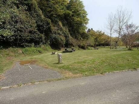 向かって左の駐車スペースがある芝地のテントサイト