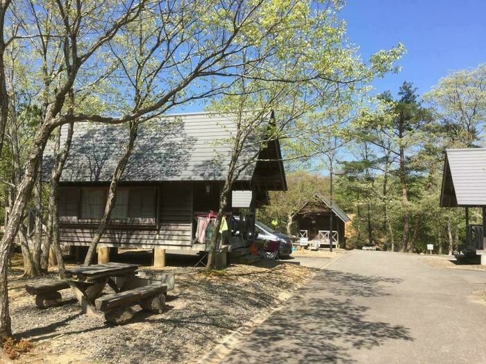木立の中の通路に沿って立っているバンガロー数棟