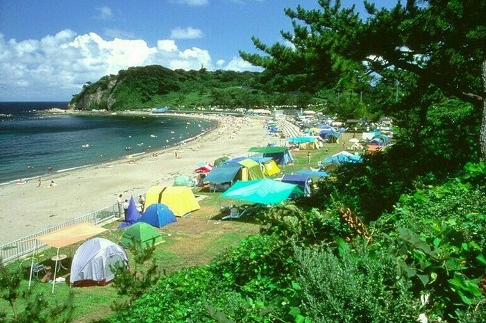 左から海、砂浜、テントが並んだテントサイト、林と並んでいる