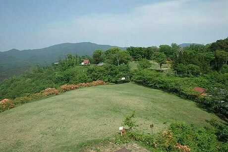 不習岳