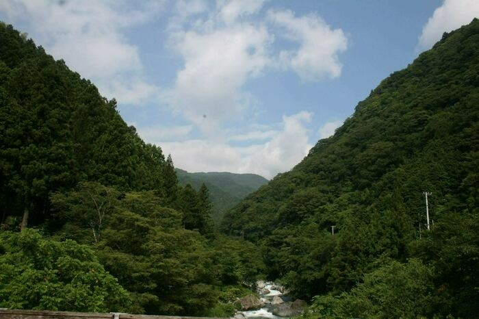 鬱蒼と茂る山すその間を流れる川