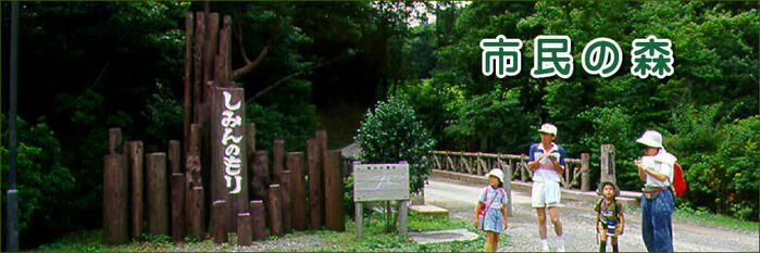 沼津の市民の森の画像