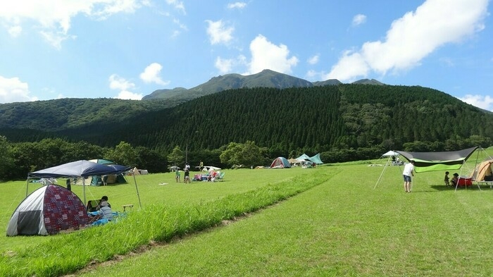 キャンプ場全景