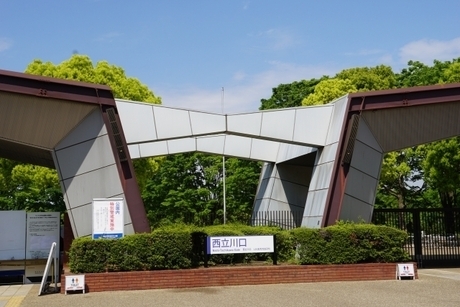 昭和記念公園