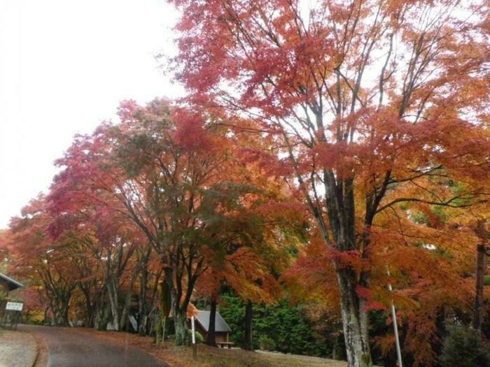 弥高山公園