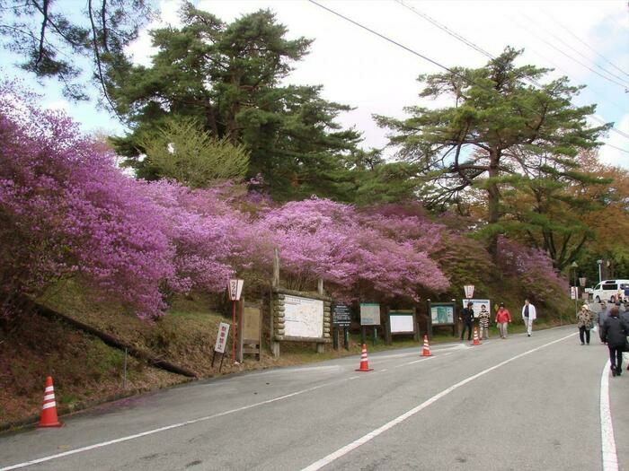 弥高山公園
