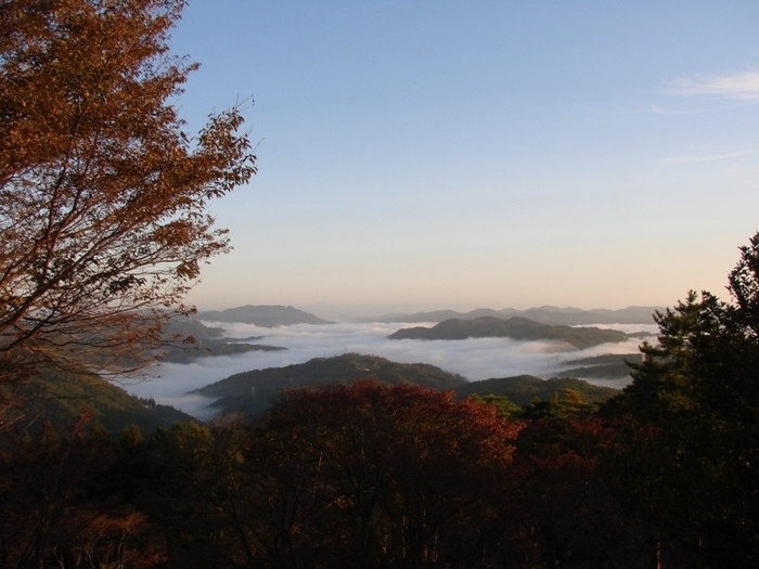 弥高山 雲海