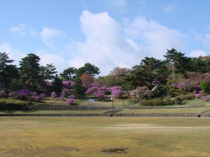 弥高山公園 キャンプ場