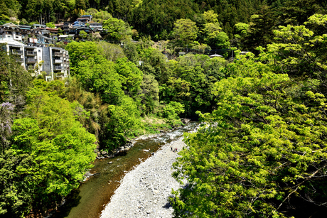 氷川キャンプ場