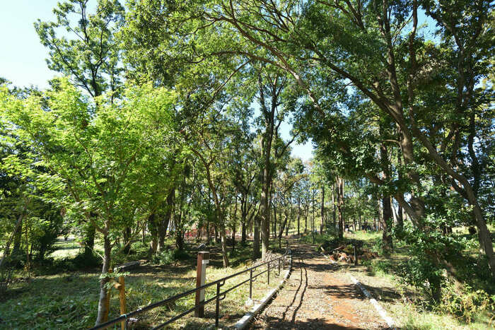 南町田の公園の道の画像