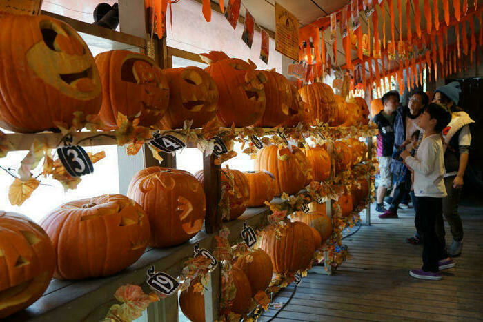 ハロウィンイベントの画像